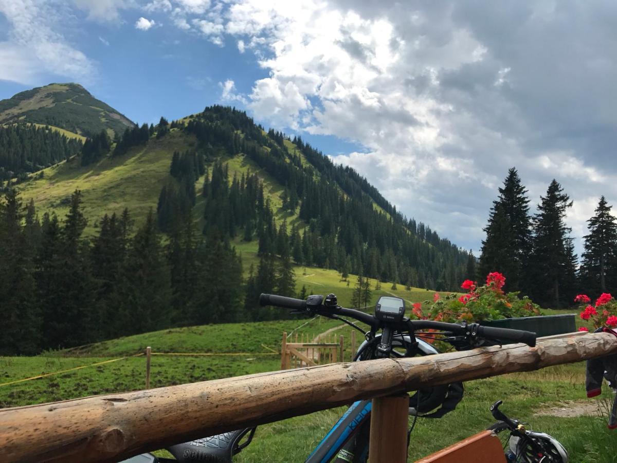 Bayern Resort Hotel - Adults Only - Mit Zugspitzblick - Eibsee-Naehe - Wellnessbereich - Naturpool Im Sommer Grainau Ngoại thất bức ảnh
